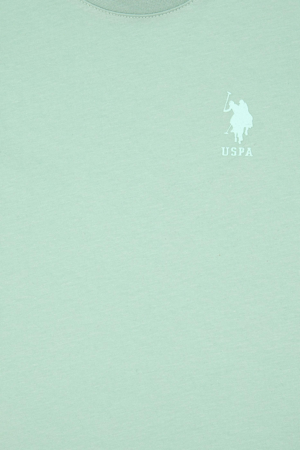 Erkek _ocuk Su Ye_ili Basic Ti__rt Sepette S_rpriz _ndirim - U.s. polo assn фото 3