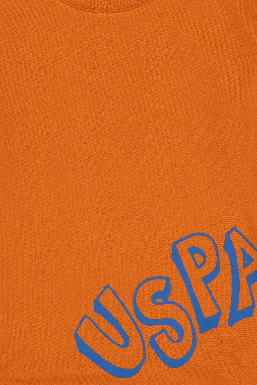 Erkek _ocuk Bak_r Bisiklet Yaka Basic Sweatshirt Sepette S_rpriz _ndirim - U.s. polo assn фото 6