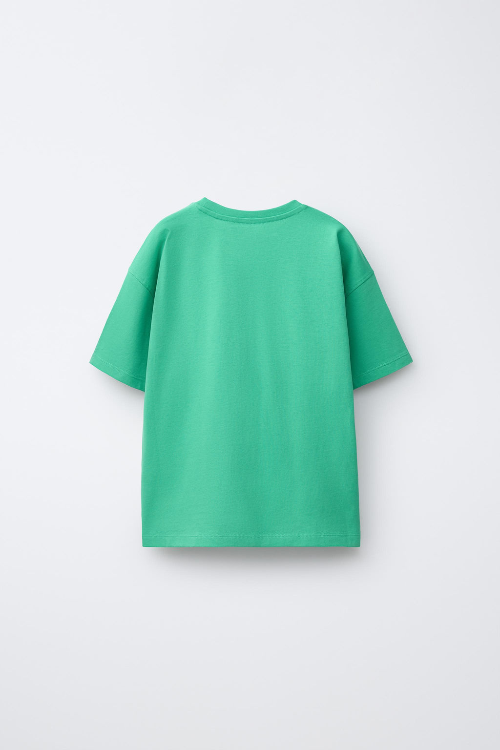 CAMISETA HEAVY WEIGHT TEXTO / Verde fuerte - Zara фото 2