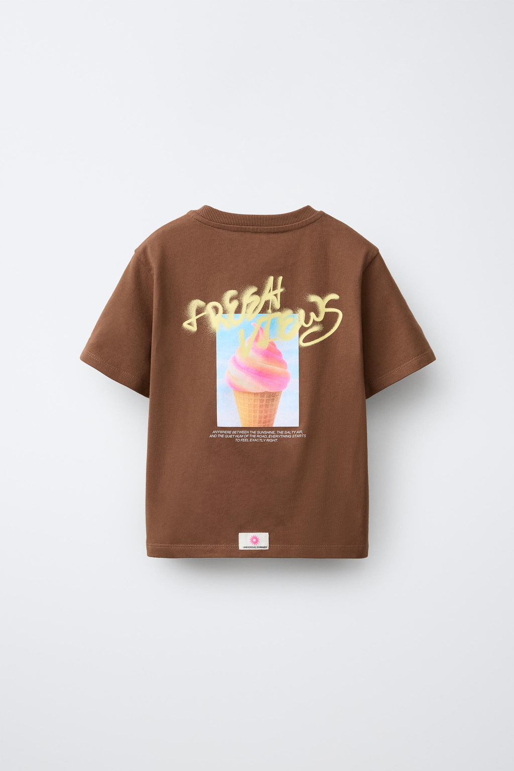 CAMISETA ESTAMPADO FOTOGRAF?A / Marr?n - Zara фото 2