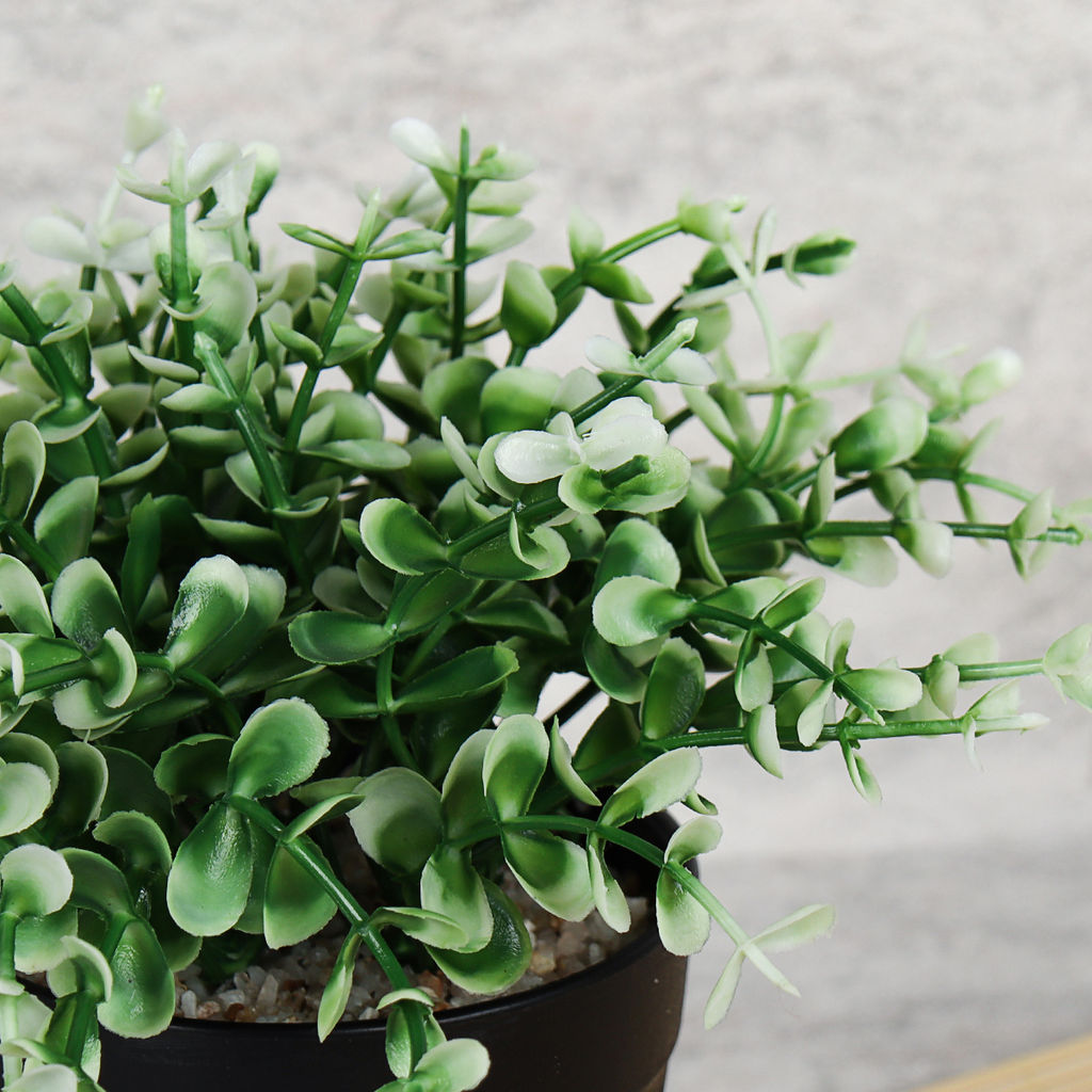 Цветочная композиция Зелень 18 см / CW414-5 /уп 6/96/ - Галеонтрейд фото 2