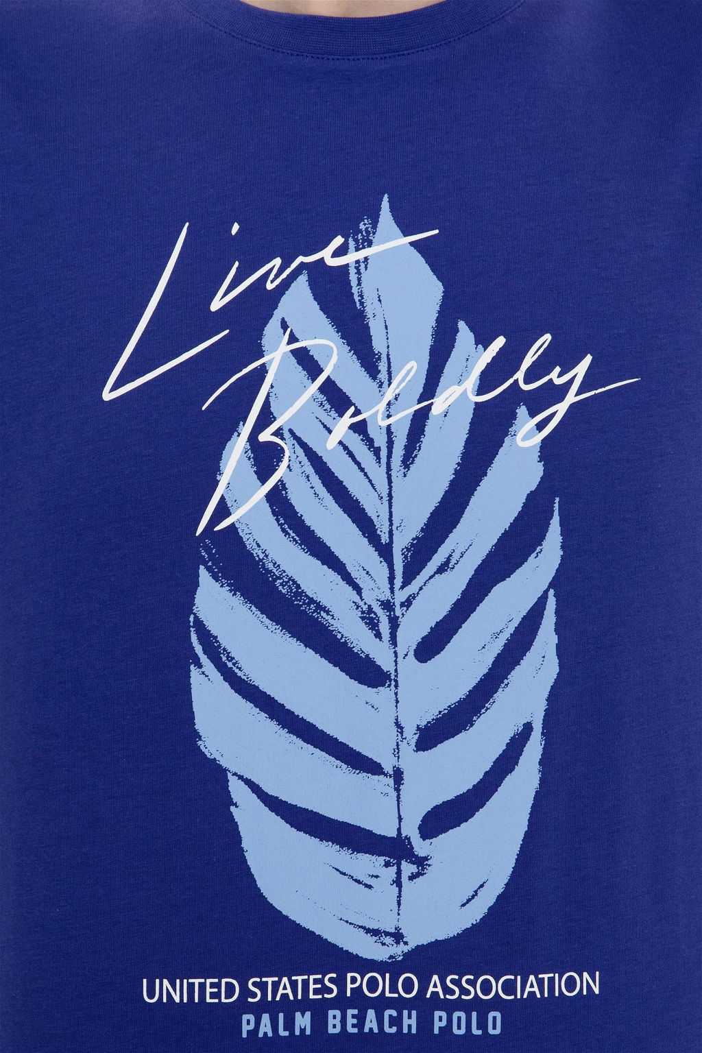 U. S. Polo Assn Мужская синяя футболка с круглым вырезом - U.s. polo assn фото 12