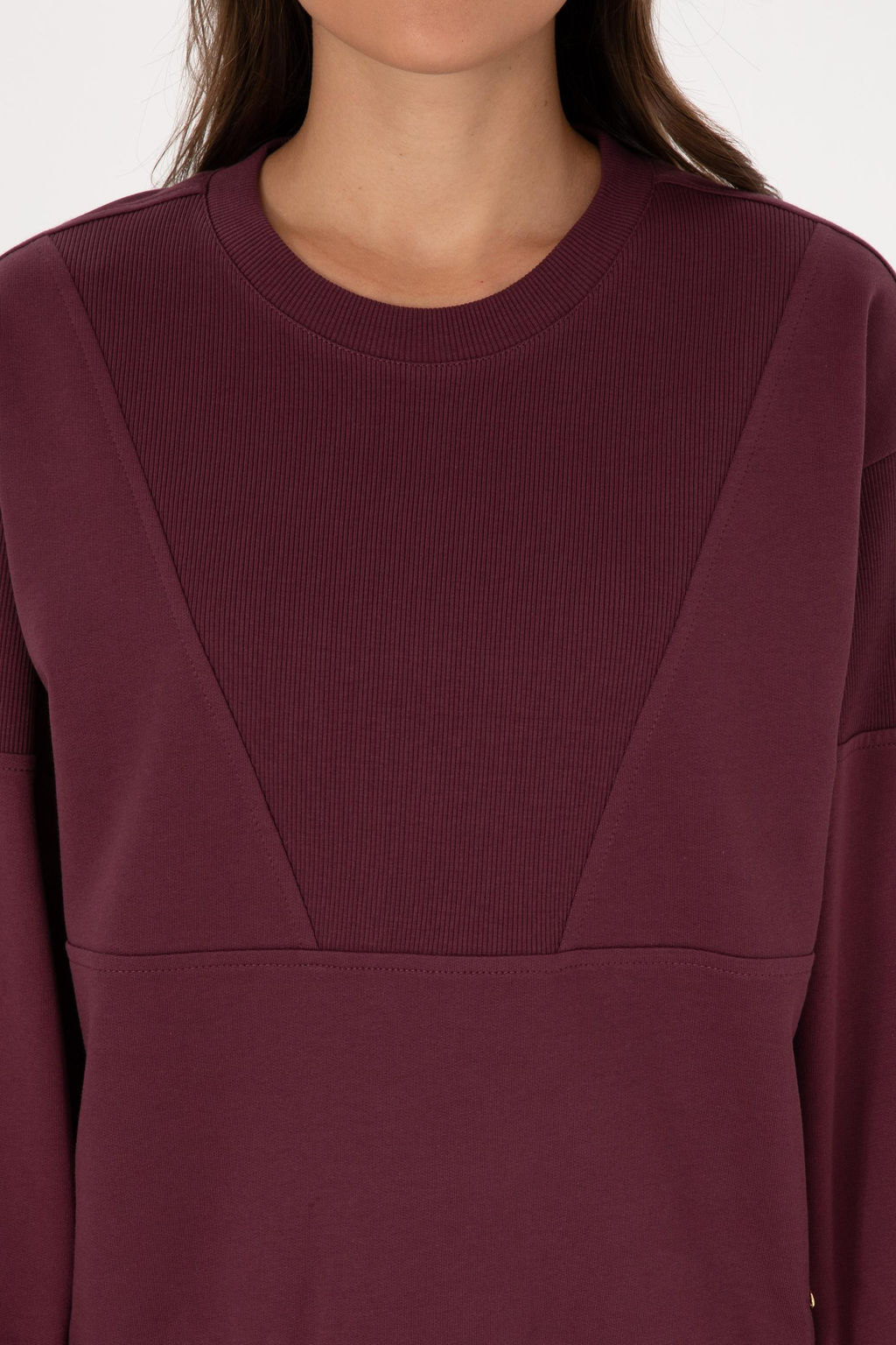 Kad_n Bordo Pamuklu Bisiklet Yaka Sweatshirt - U.s. polo assn фото 6