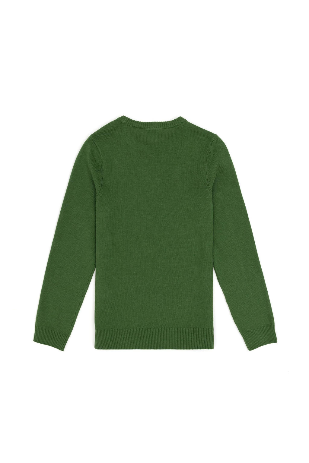 Зеленый базовый свитер для мальчика Неожиданная скидка в корзине - U.s. polo assn фото 2