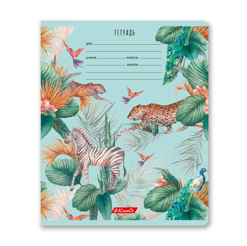 Светоч 24ТЕТк-001 Тетрадь ученическая школьная, A5 24 л. на скобе 65 г/кв.м , белизна 100 % 30 шт. клетка 000721 Саванна  фото 4