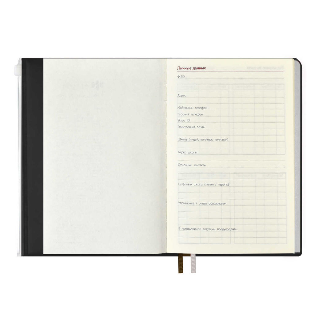 Ежегодник учителя, А6+, арт. 59030/ 15 ПВХ БРОНЗОВЫЙ