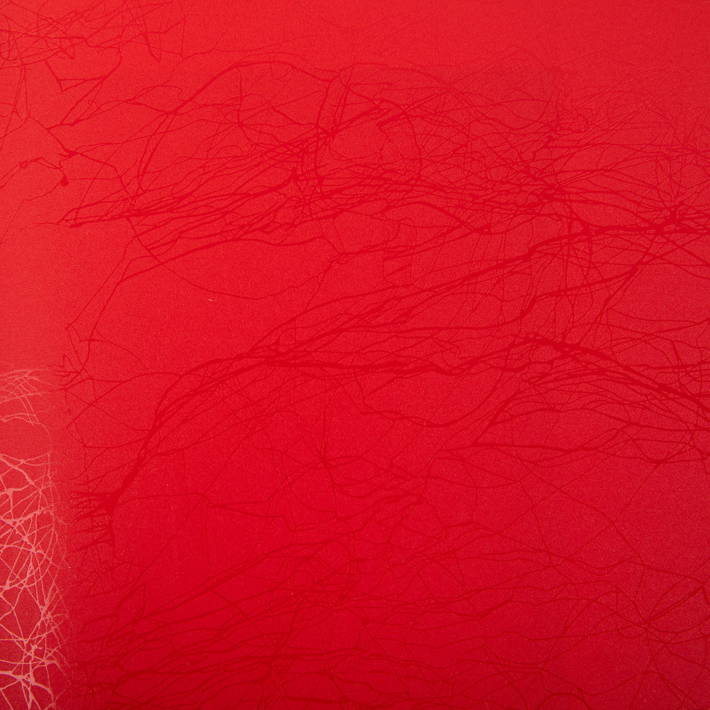 Expert Complete Premier Папка на резинке A4 600 мкм 35 мм волокно 5 шт. красный new EC21043004