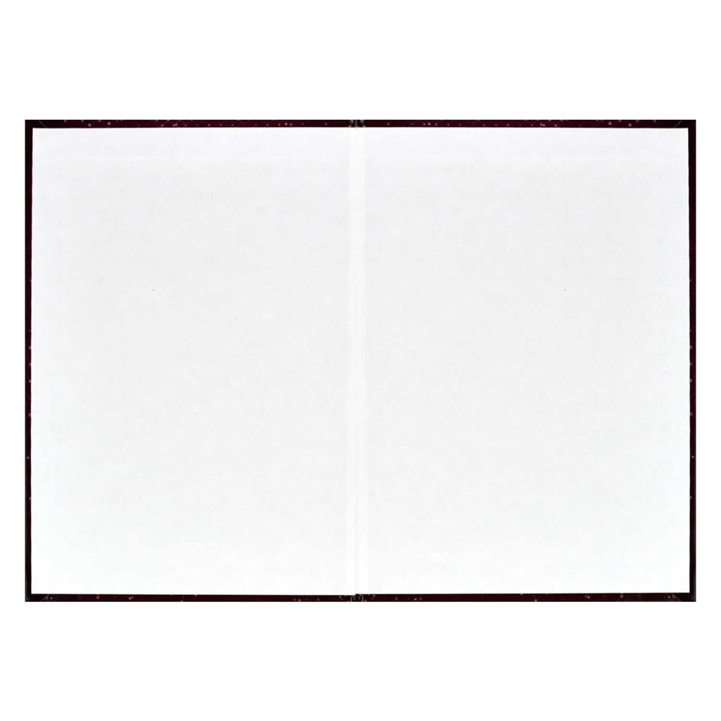 Ежегодник учителя арт. 62336 БОРДОВАЯ ФАКТУРА - Феникс+ фото 23