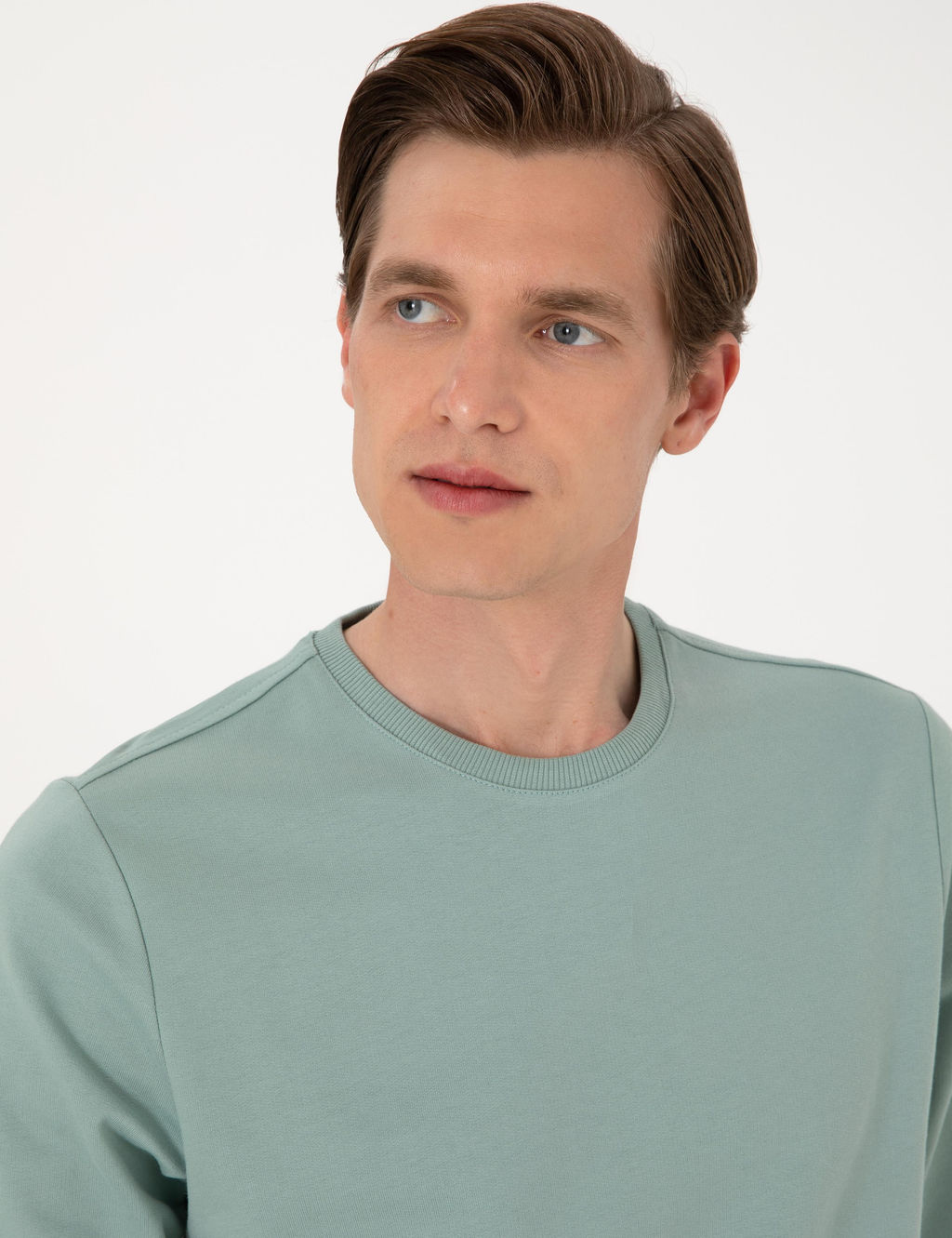 _a_la 2 _plik Regular Fit Bisiklet Yaka Basic Sweatshirt - Pierre cardin фото 2