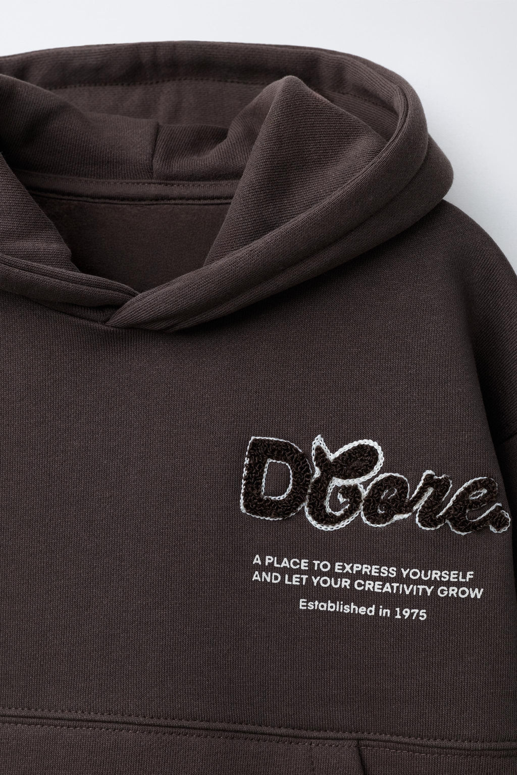 SUDADERA CAPUCHA TEXTO RIZO / Marr?n - Zara фото 5