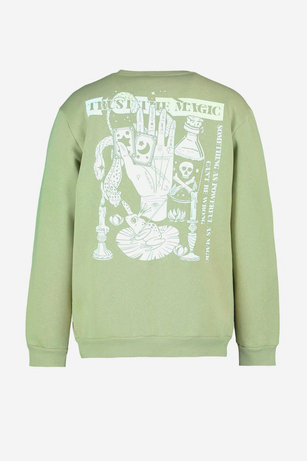 Yesil Bisiklet Yaka Regular/Normal Kesim Mistik Bask?l? Ici Polarl? Sweatshirt TMNAW23SW00303
