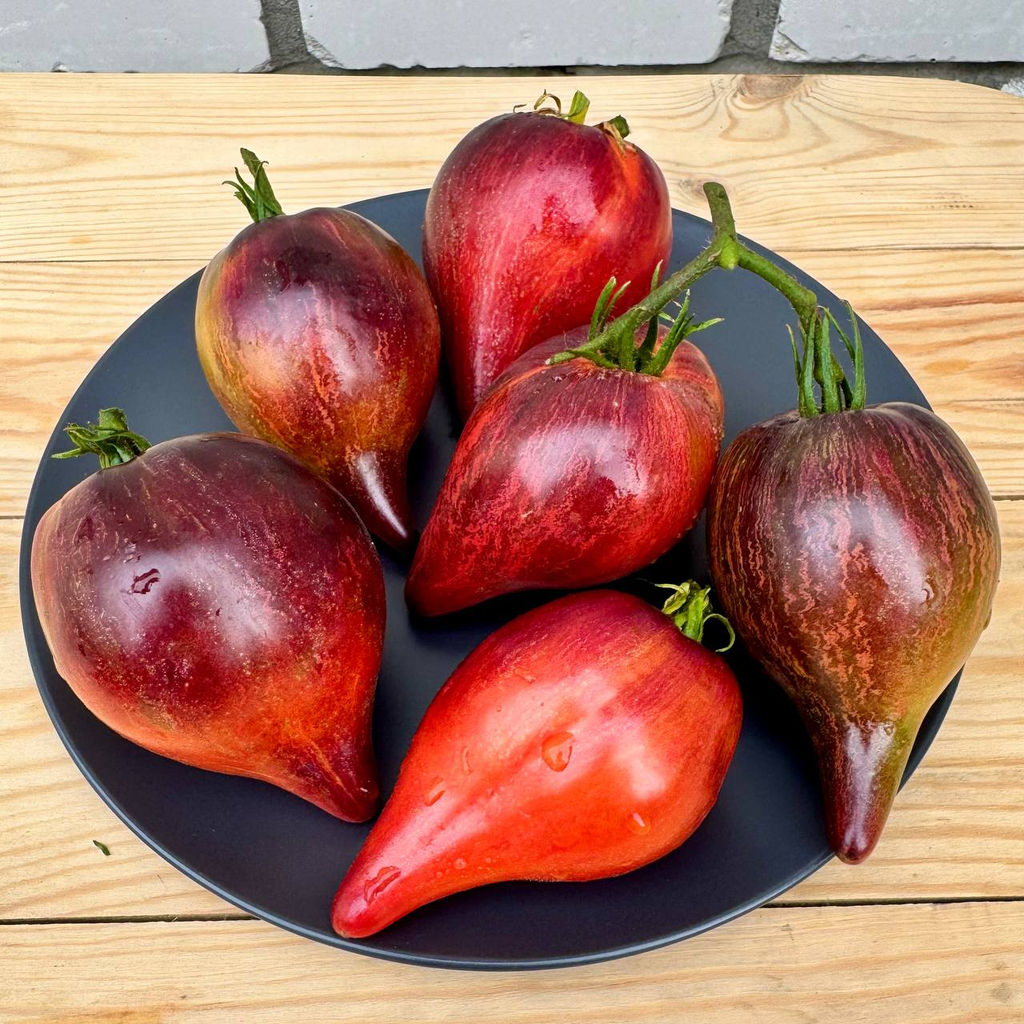 Огненная комета Софии НОВИНКА 2025 года!