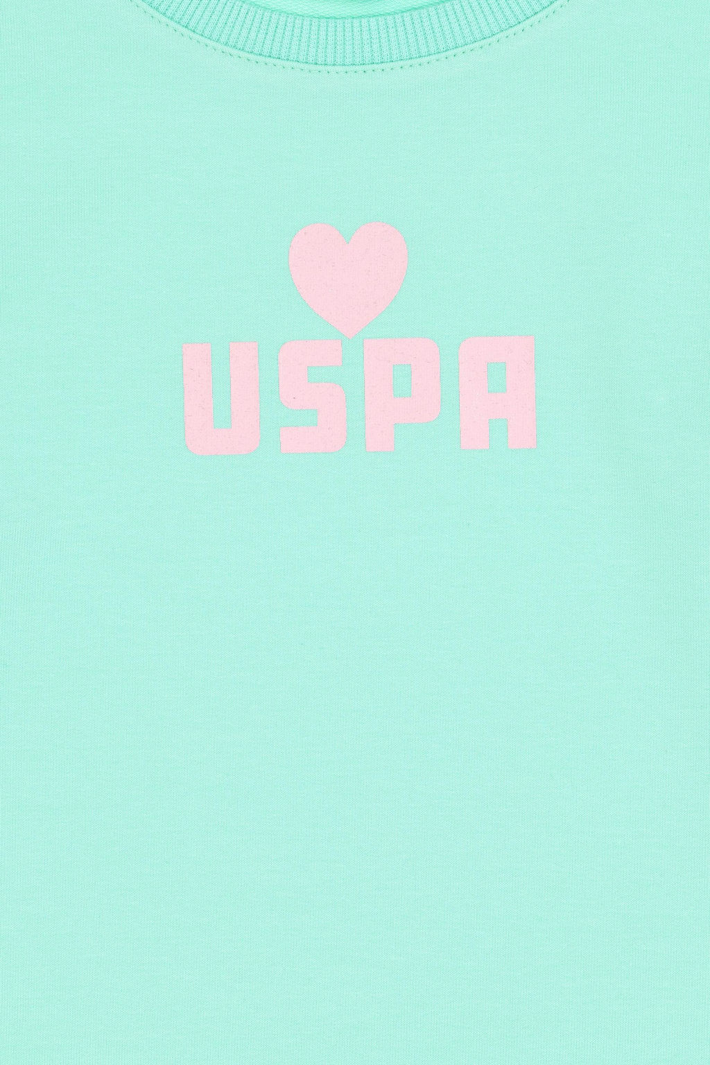 Мятный свитшот для девочки Неожиданная скидка в корзине - U.s. polo assn фото 6