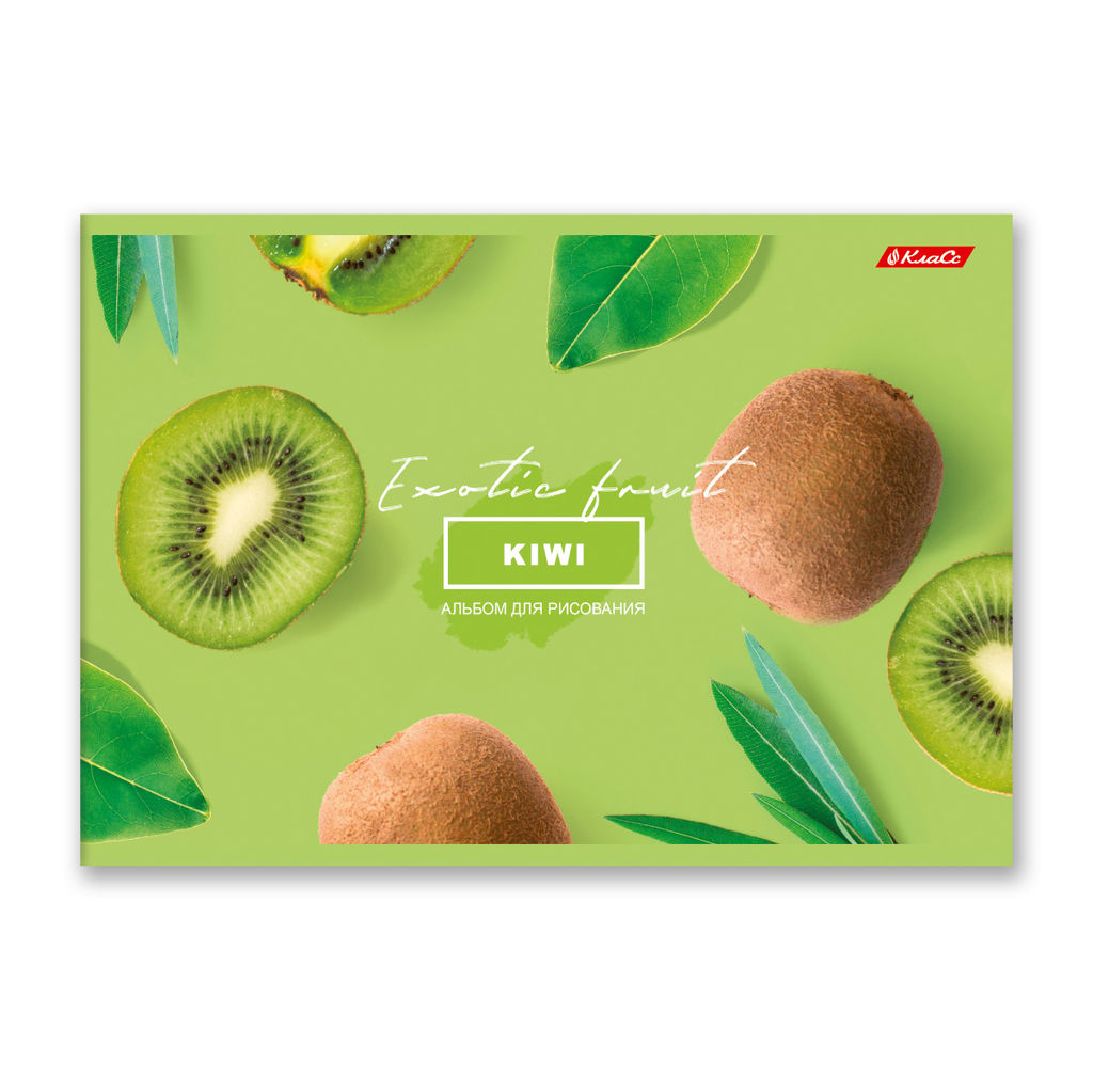 Светоч 48АЛСК4_1_3_9 Альбом для рисования 100 г/м2 A4 29 х 20.5 см 48 л. 5 шт. на скобе 000260 Зелёная ракета фото 22