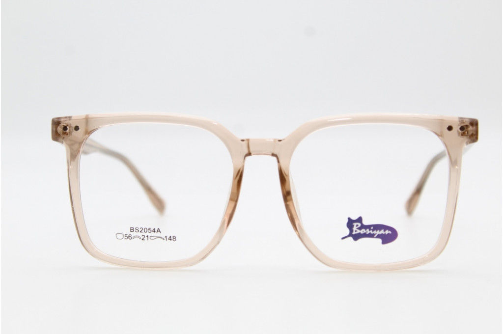 Оправа Bosiyan 2054 56-21-148 C3 с насадкой Polarized