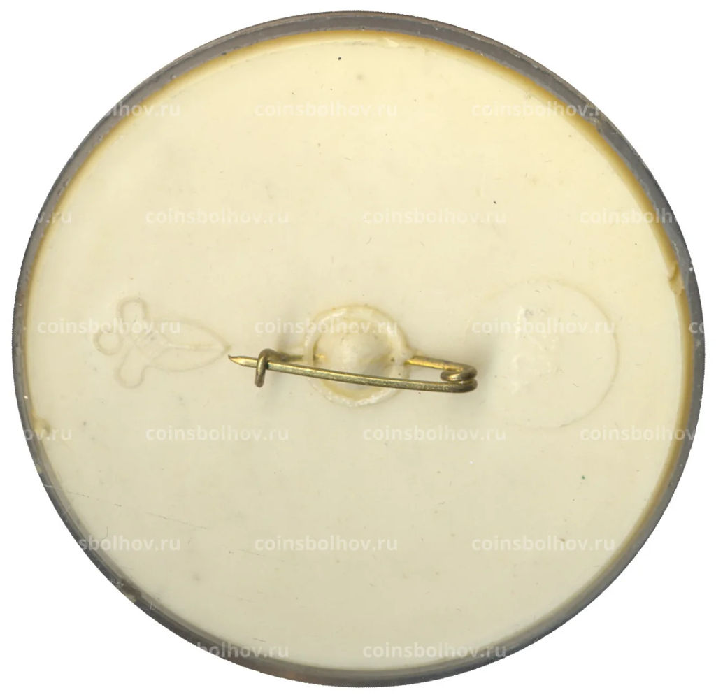 Значок Зебра