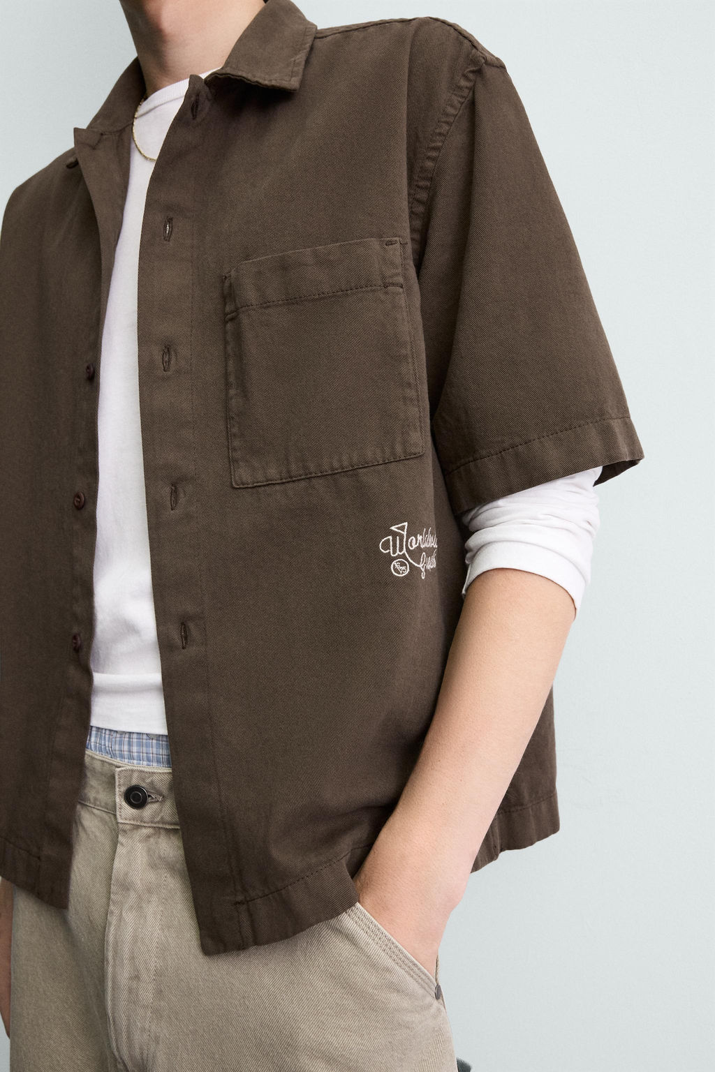 SOBRECAMISA ESTRUCTURA BORDADO / Marr?n - Zara фото 6