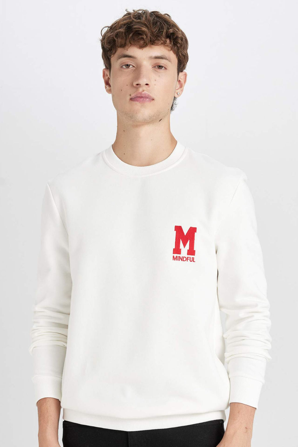 New Regular Fit Bisiklet Yaka Bask?l? Kal?n Sweatshirt - Defacto фото 2