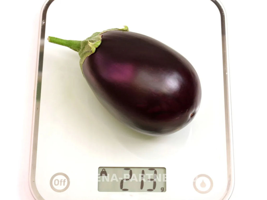 Баклажан Патрик - Партнер фото 6