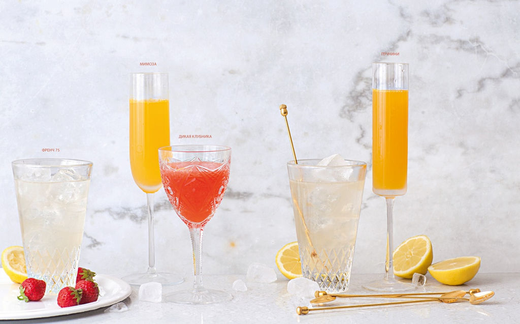 Практическая миксология. Девайсы. Техники. Ингредиенты. Кастеллон Ф. - Колибри фото 2