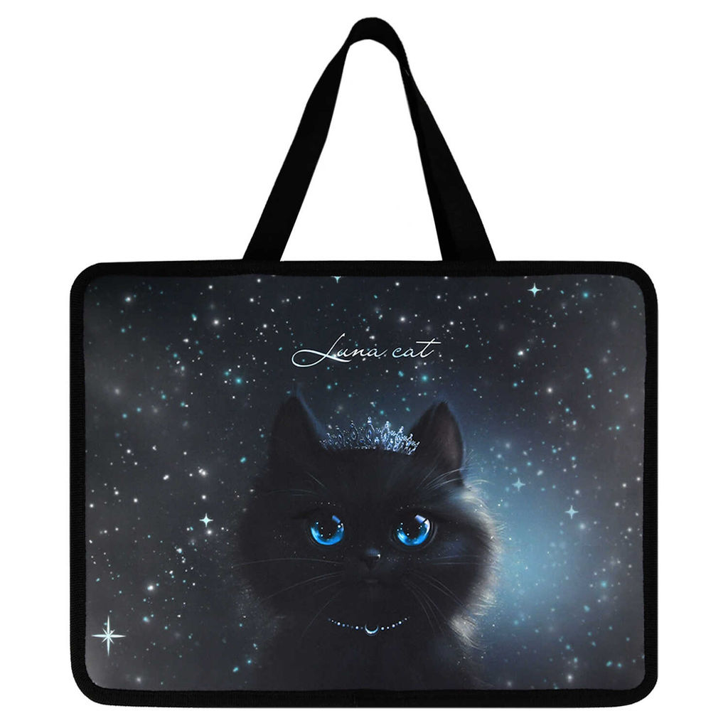 Папка для школьных тетрадей пластиковая Феникс+, арт. 69275/ 12 ПРИНЦЕССА ЛУНА