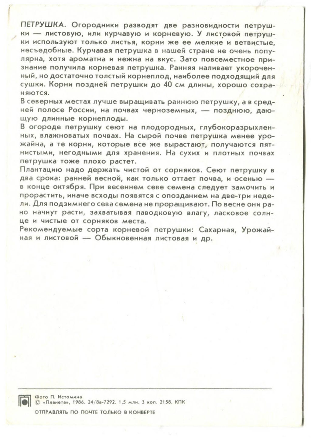Открытка Петрушка