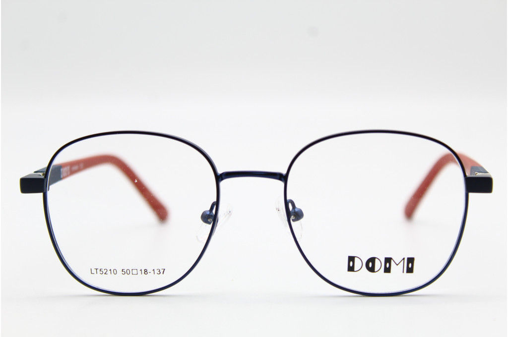 Оправа DOMI (детские) LT5210 50-18-137 C3