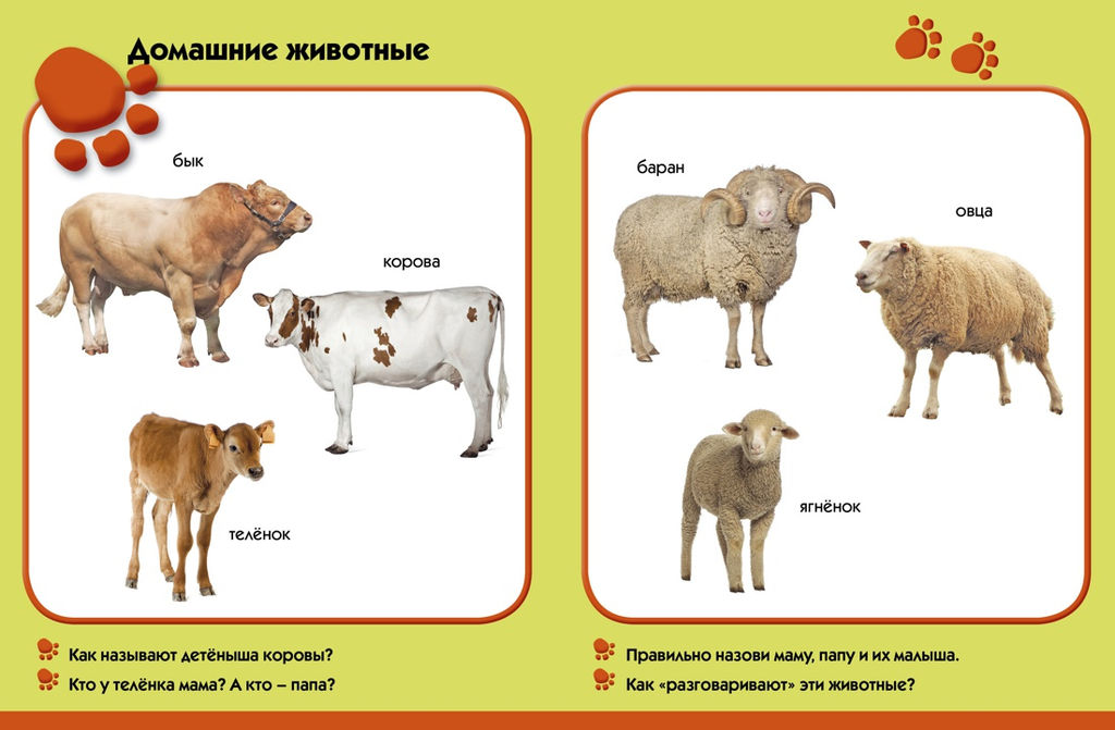 Лето в деревне. Развиваем малыша (1-2 года). - Махаон фото 4
