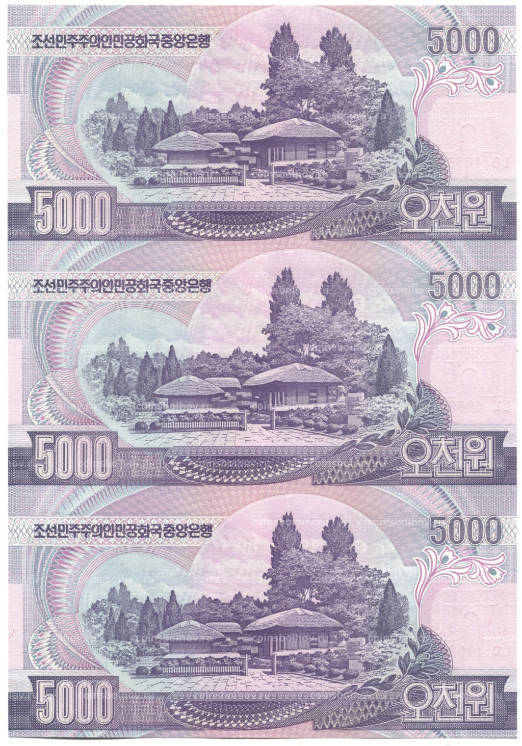 5000 вон 2006 года Северная Корея  Лист из трех банкнот