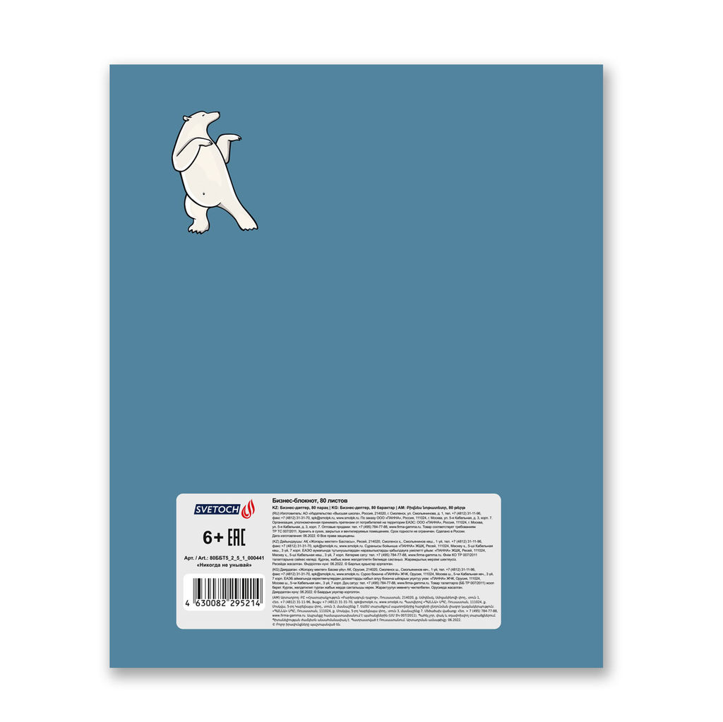 Светоч Бизнес-блокнот, матовая ламинация, 80ББТ5_2_5_1 A5+ 80 л. 18 шт. клетка Никогда не унывай 000441 фото 3