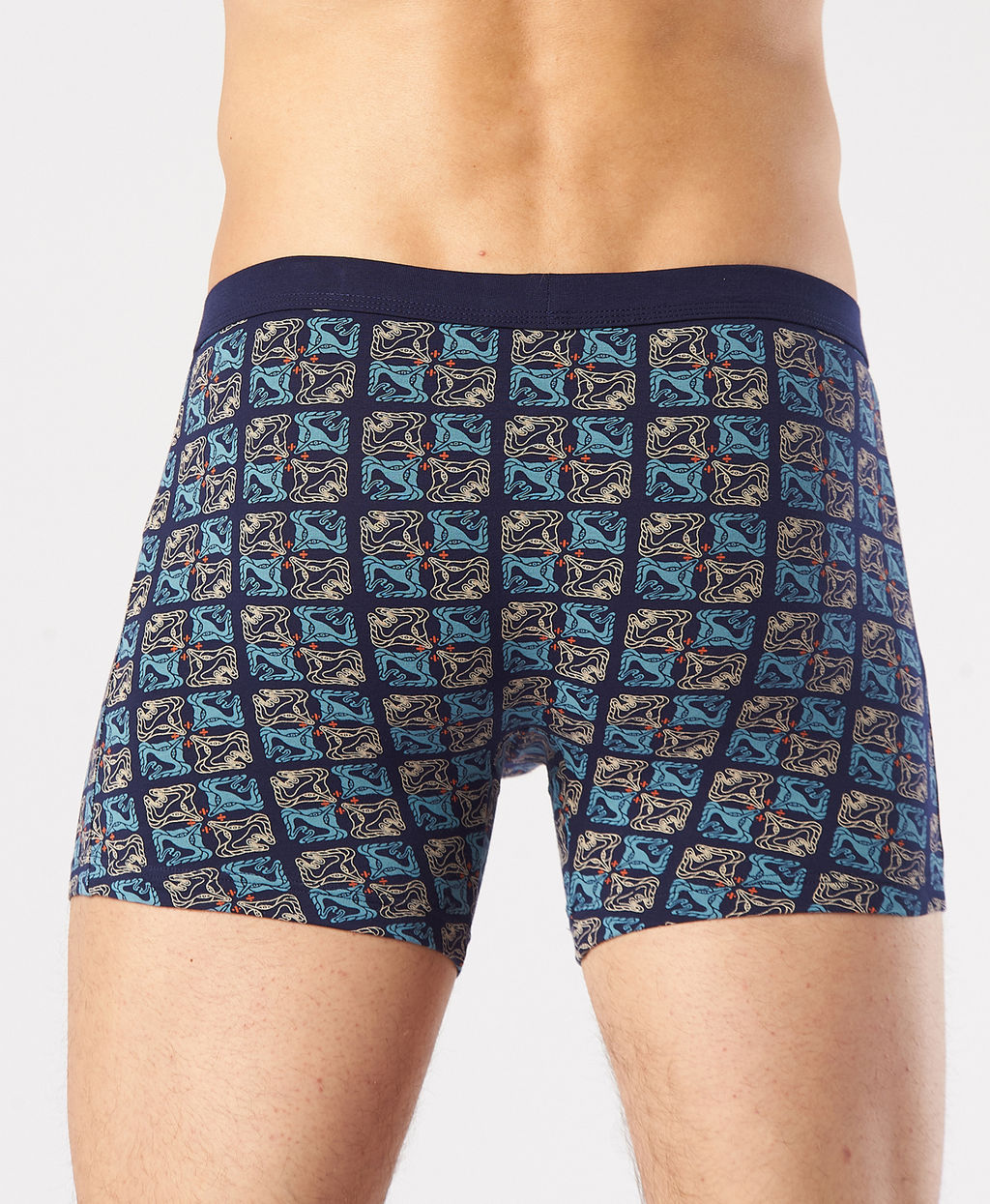 Трусы мужские боксеры Rogers 8702 хлопок, эластан размеры M, L, XL, 2XL фото 6