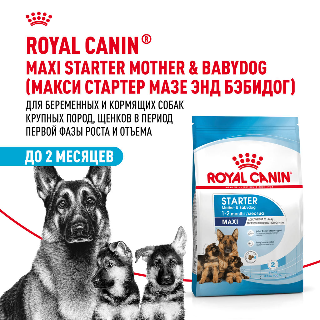 RC Для щенков крупных пород: 3нед.-2мес., беременных и кормящих сук (Maxi Starter) 29941500R1