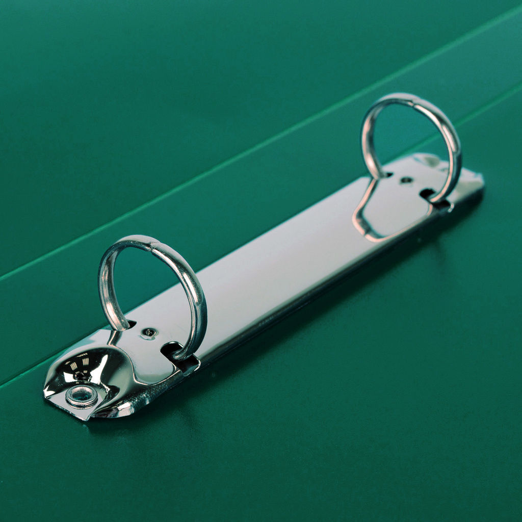 Expert Complete Premier Папка на 2 О-кольцах A4 700 мкм 25 мм волокно 4 шт. d - 20 мм зеленый new EC211330003