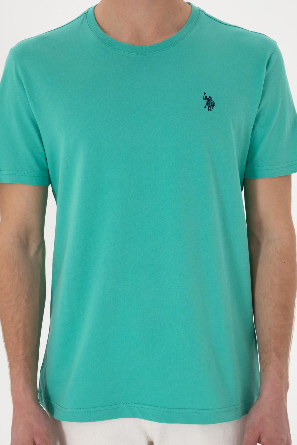 Erkek Regular Fit Bisiklet Yaka Mint Basic Ti__rt