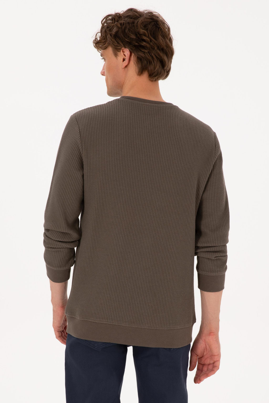 Erkek Bisiklet Yaka Regular Fit Petek Dokulu Vizon Sweatshirt - U.s. polo assn фото 5