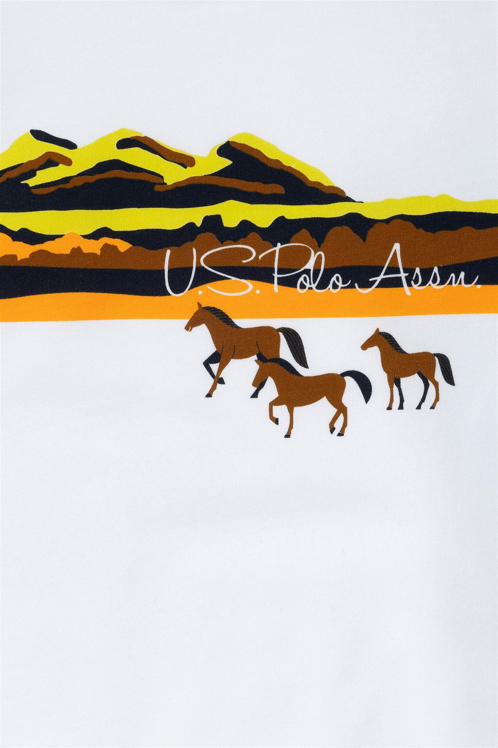 U. S. Polo Assn Белый свитшот с круглым вырезом для мальчика - U.s. polo assn фото 4