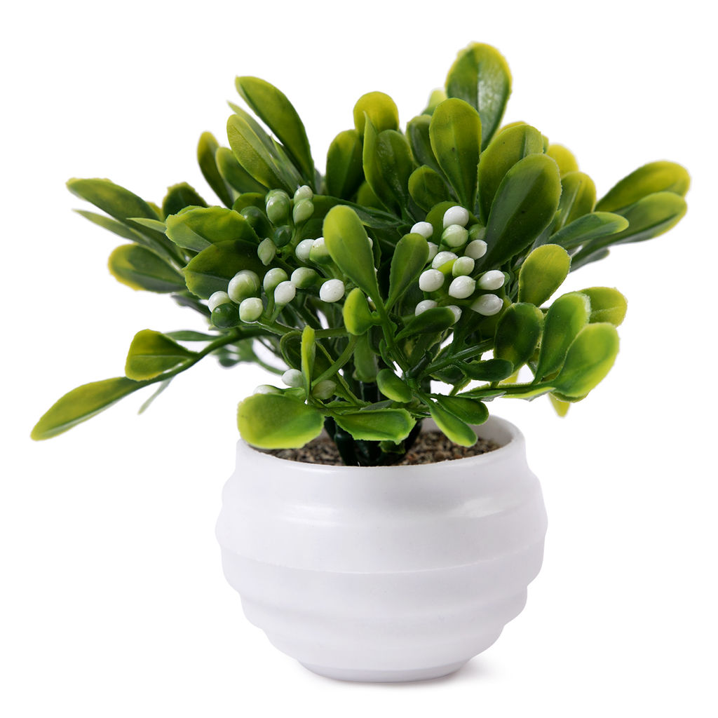 Искусственное растение Blumentag ATF-01 Растение искусственное в кашпо 12.5 х 10 см 1 шт. 05