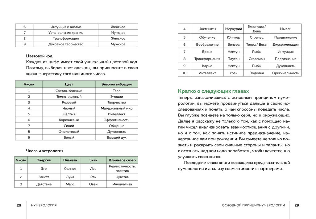Нумерология (хюгге-формат). Кристи Э. - Колибри фото 6