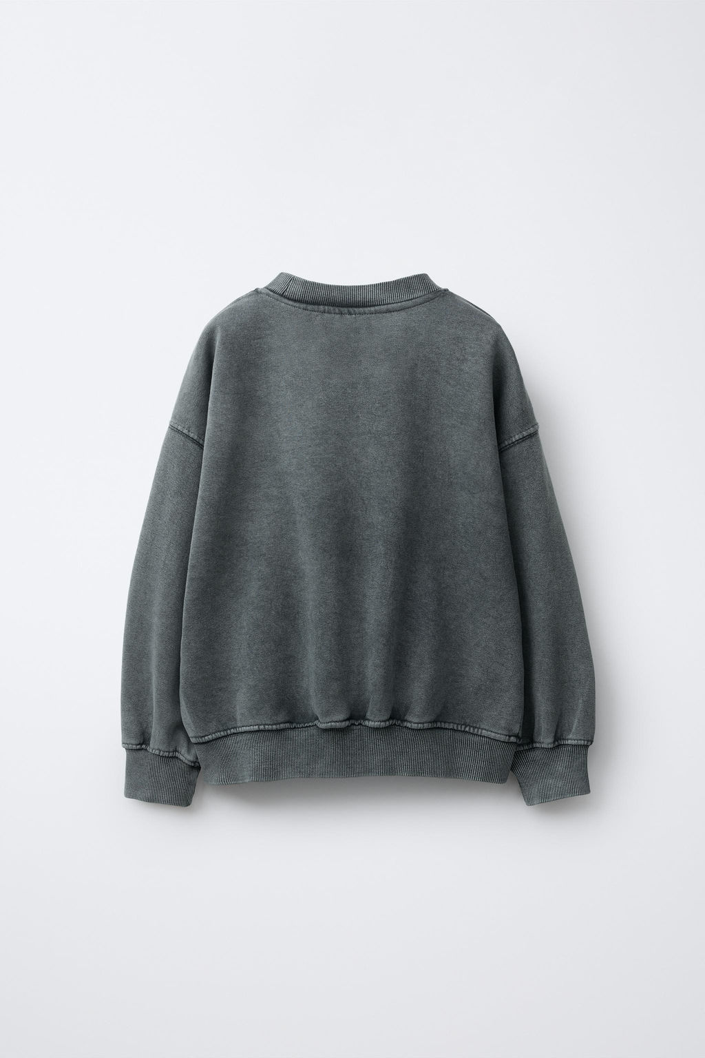 SHINY CAPYBARA CAPYFUN  SWEATSHIRT - Zara фото 2
