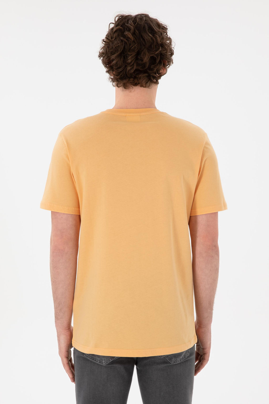 Erkek Regular Fit Bisiklet Yaka Turuncu Basic Ti__rt Sepette S_rpriz _ndirim - U.s. polo assn фото 6
