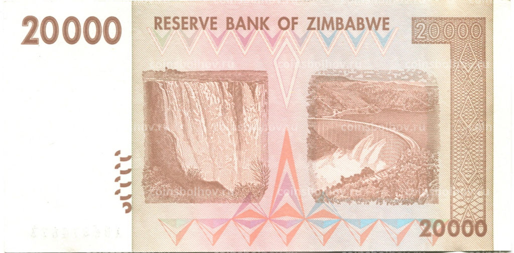 20000 долларов 2008 года Зимбабве