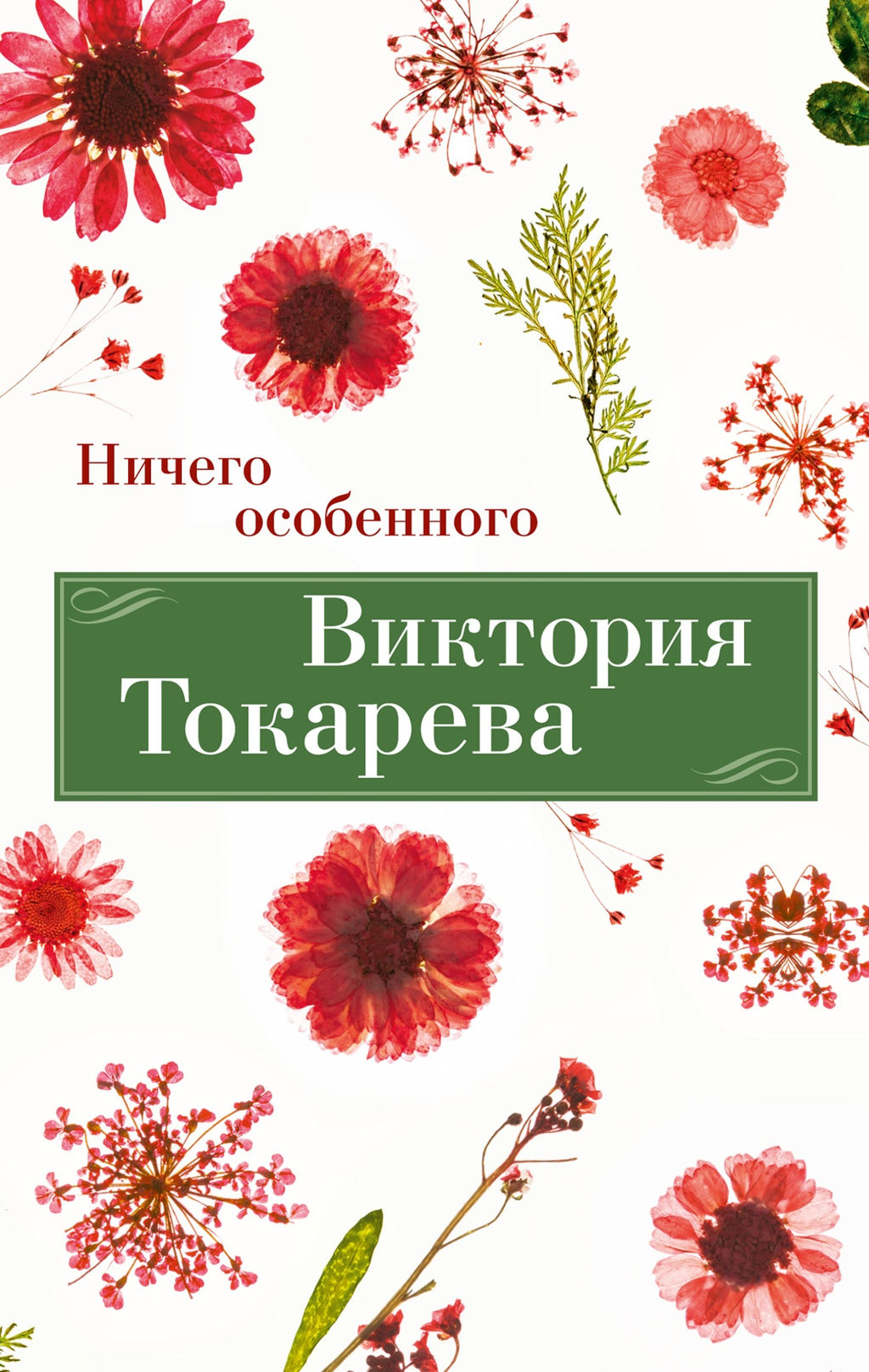 Ничего особенного (мягк/обл.). Токарева В.