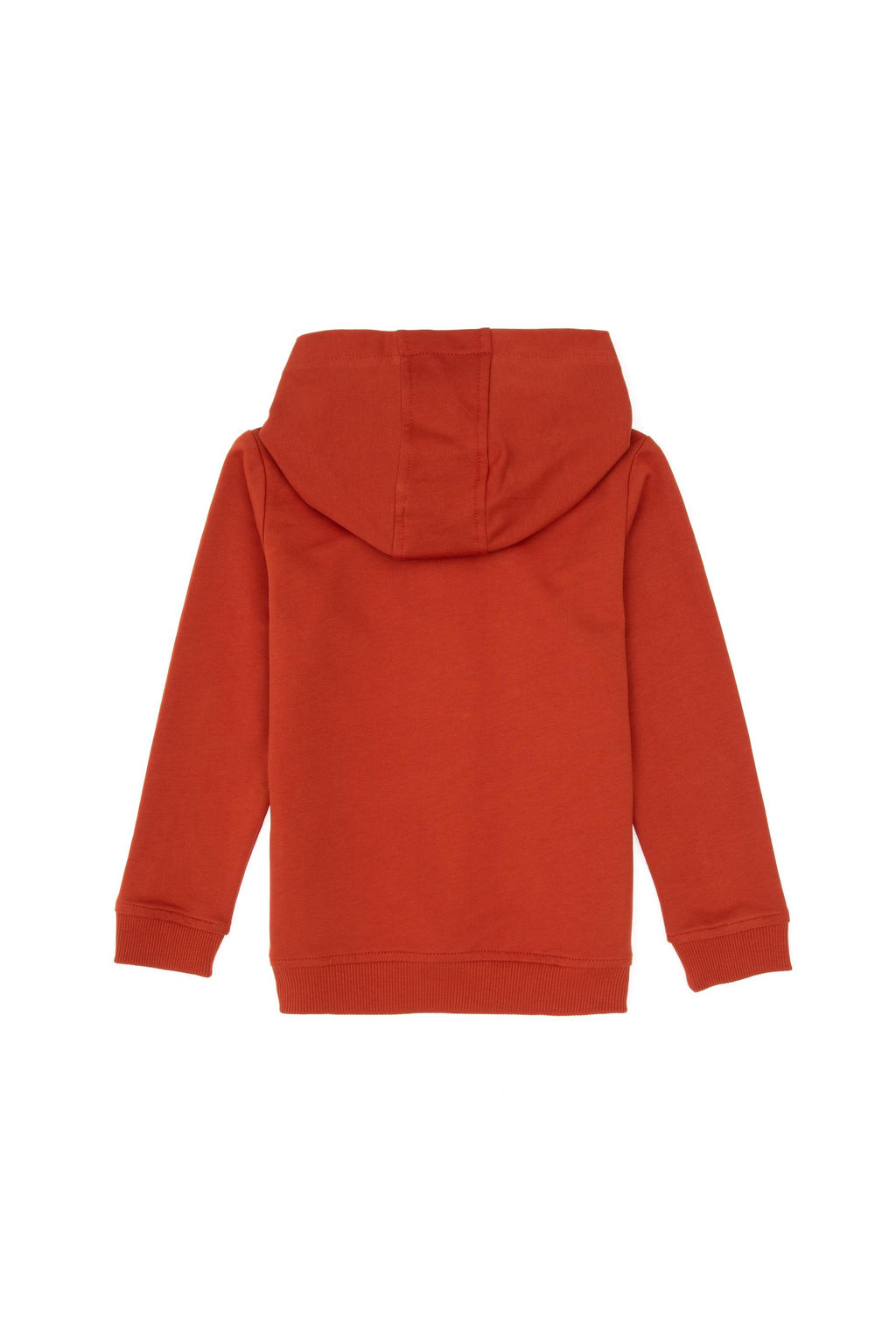 Erkek _ocuk Kiremit Basic Kap__onlu Sweatshirt - U.s. polo assn фото 2