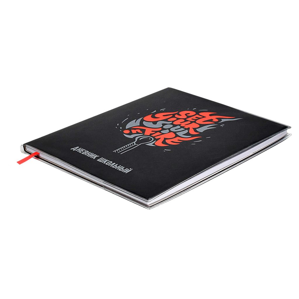 Дневник школьный арт. 58748 / 15 СПИЧКА - Феникс+ фото 2