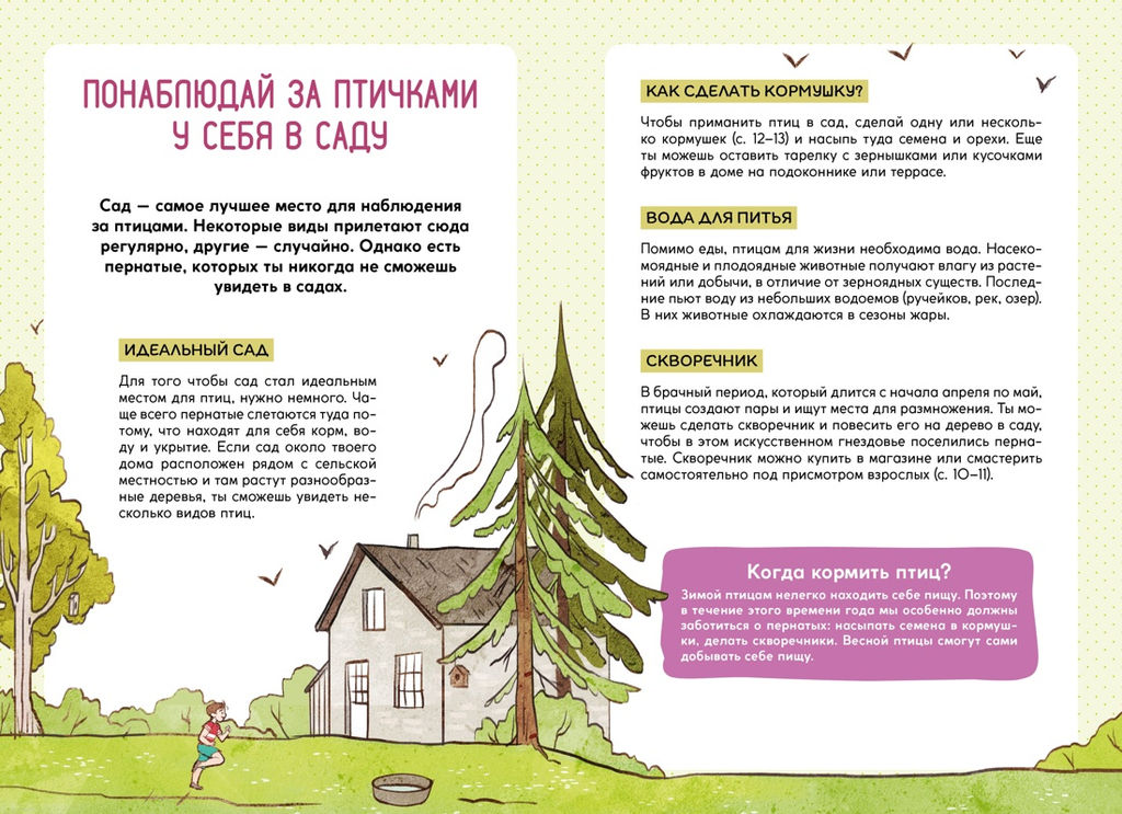 Птицы. Лучези М. - Махаон фото 4