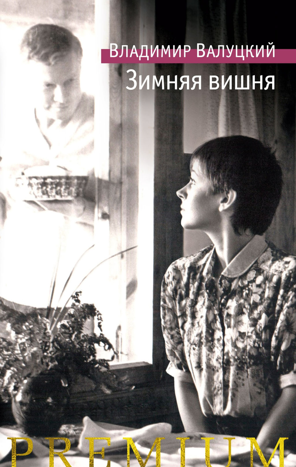 Зимняя вишня. Валуцкий В.