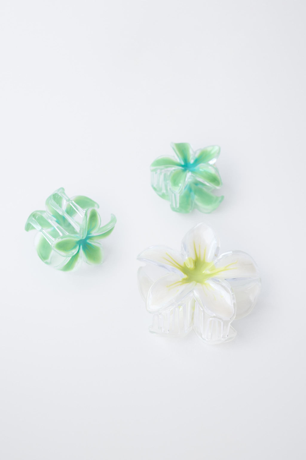 PACK TRES PINZAS FLORES HIBISCUS / Verde - Zara фото 2