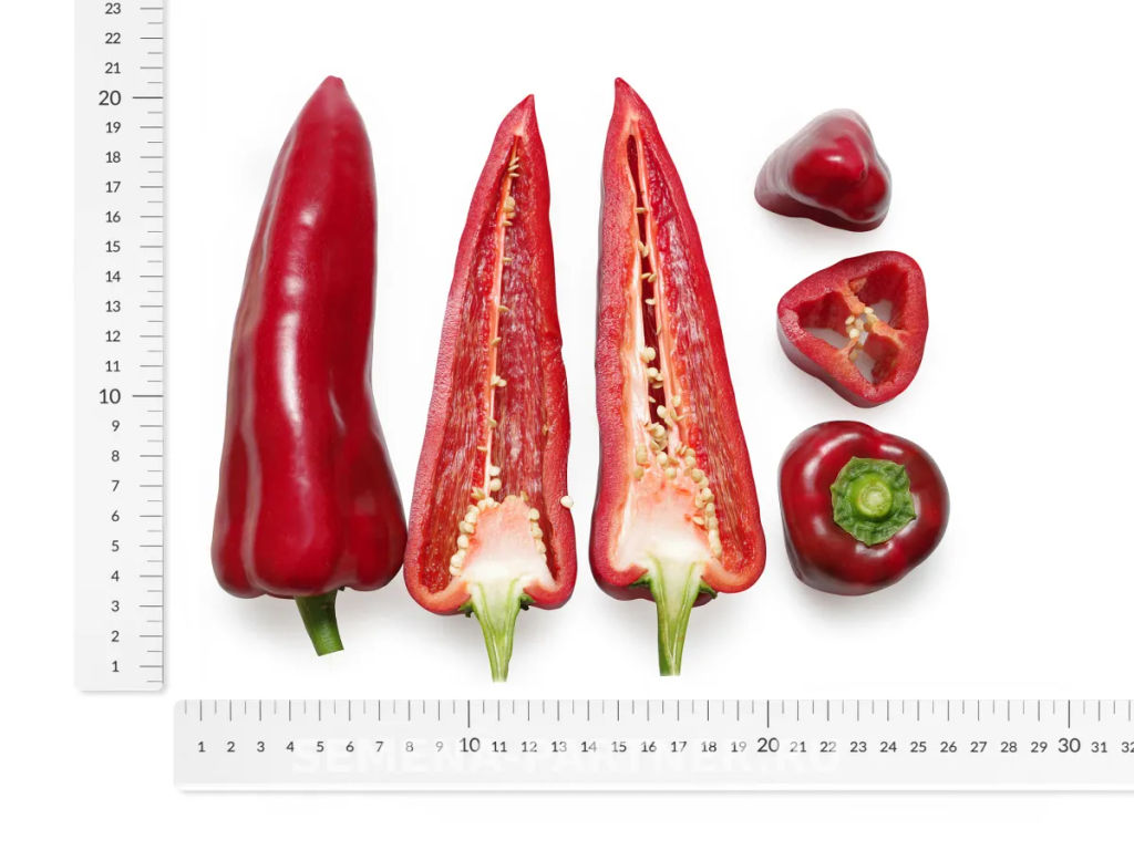 Перец сладкий Самандер - Партнер фото 7