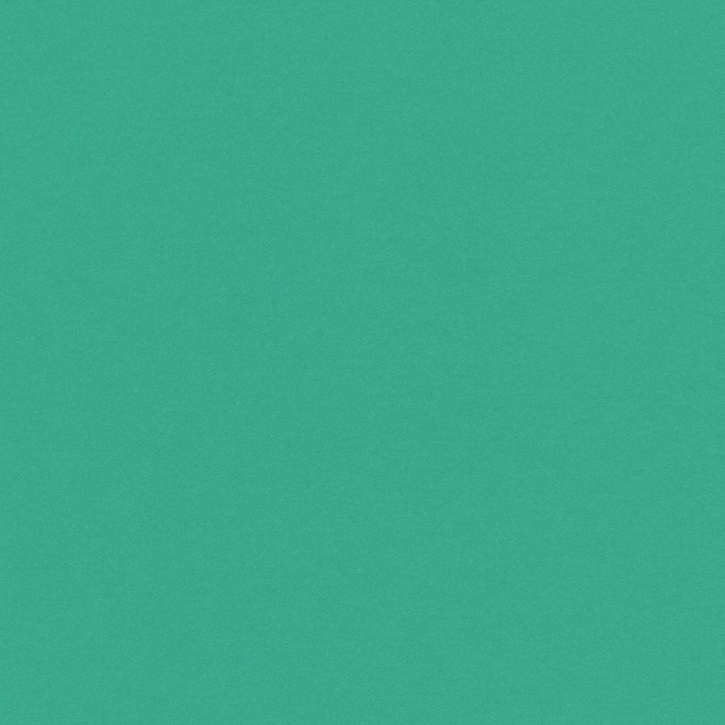 VISTA-ARTISTA Бумага цветная MPO-A4 120 г/м2 A4 21 х 29.7 см 50 шт. 24 светло-зеленый/light green