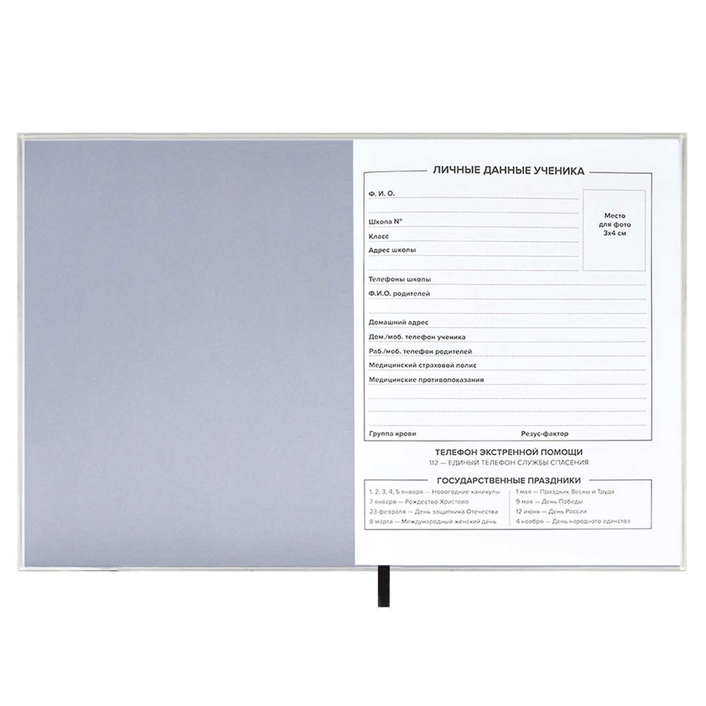 Дневник школьный арт. 59327 / 15 СКЕЙТ - Феникс+ фото 4